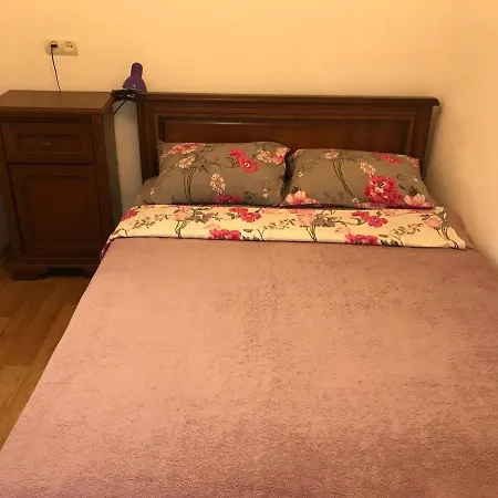 Apartment спиридоновская *