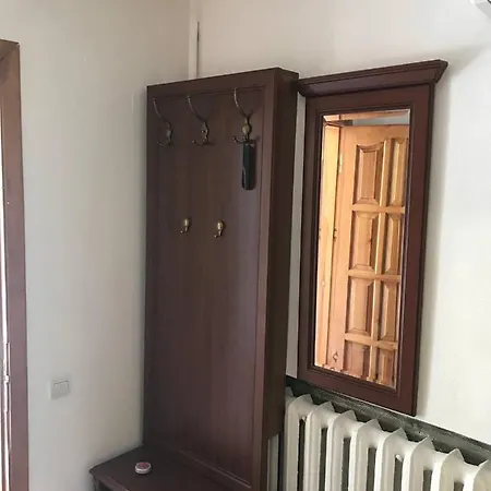 Apartment спиридоновская *
